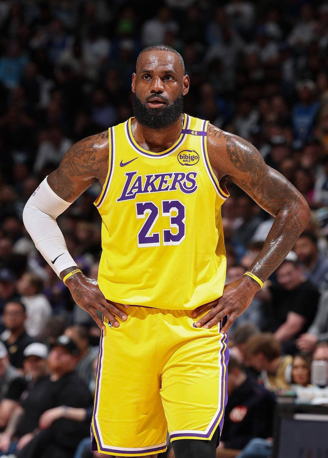 62019